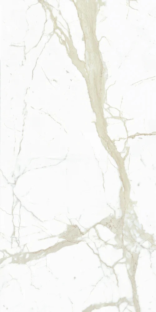 White Calacatta